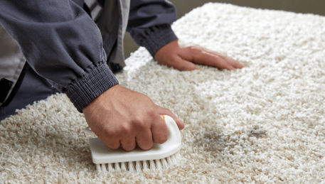 Professional Rug Cleaning Thomastown